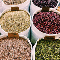Alimente de baza